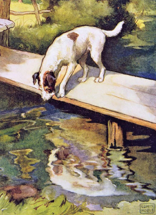 The Dog and the Shadow Card