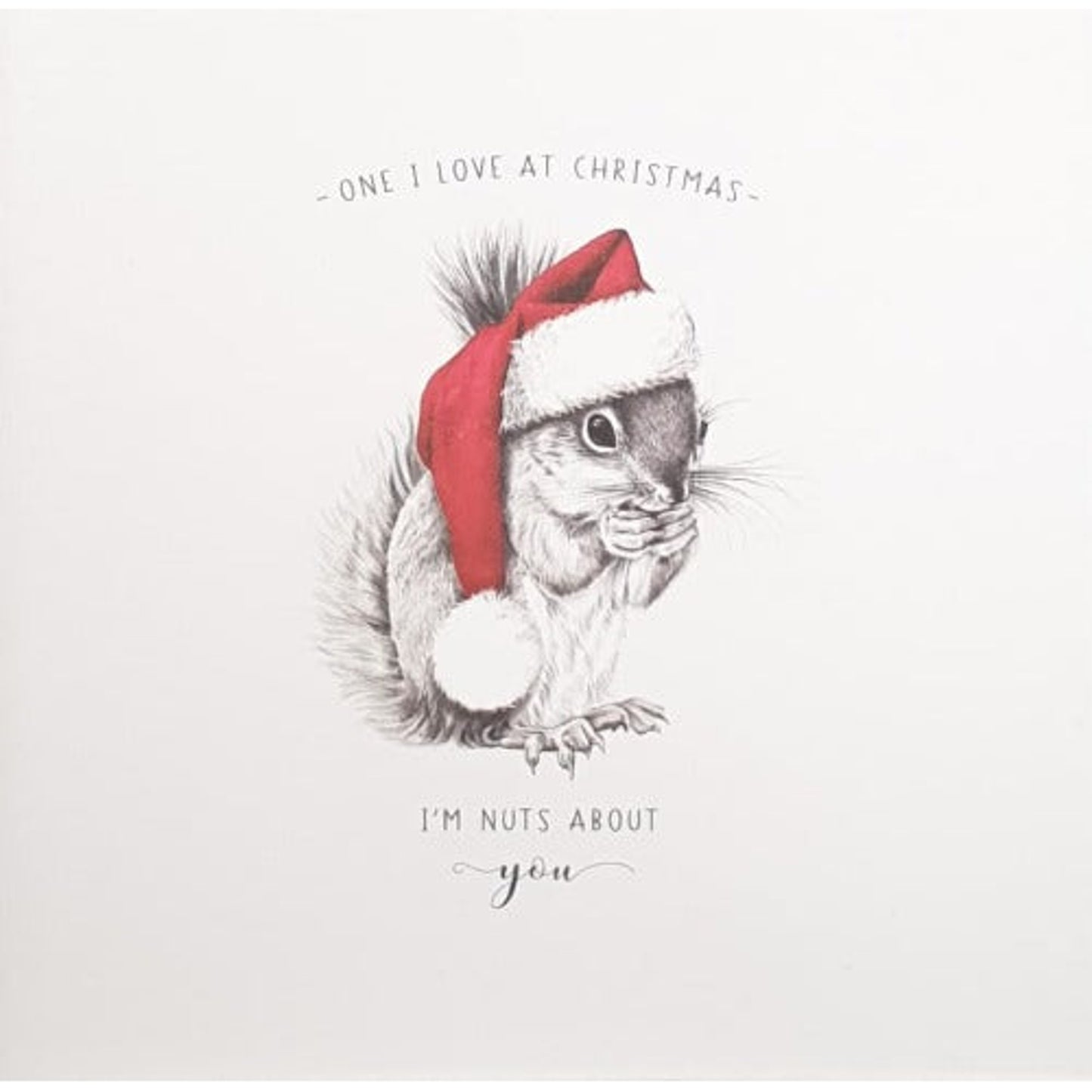 Illustration of a squirrel wearing a Santa hat with text on a white background