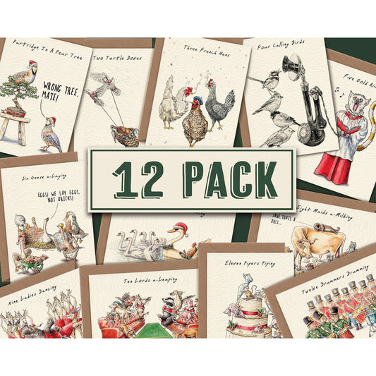 Collection of greeting cards with various illustrations and a '12 Pack' label.
