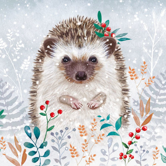 Winter Hedgehog – Christmas Card
