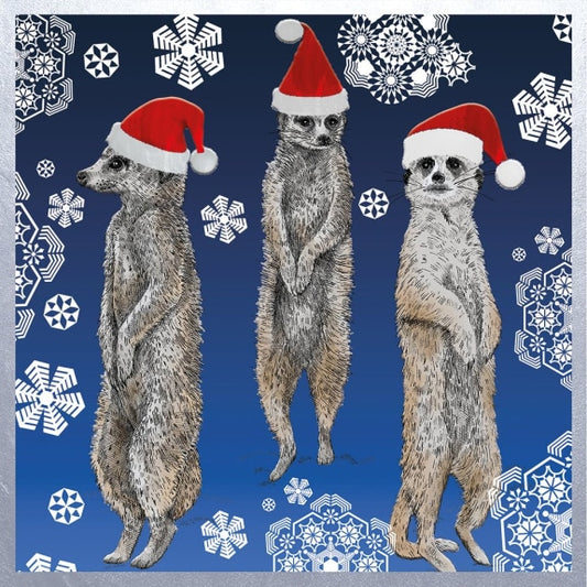 Santa Hat Meerkats – Christmas Card