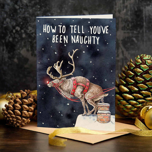 Christmas card with reindeer on a chimney, text 'How to tell you've been naughty', surrounded by pine cones and gold ribbons.