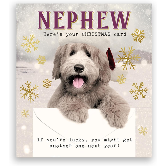 Christmas card with a dog and text for a nephew, featuring snowflakes and a snowy background.