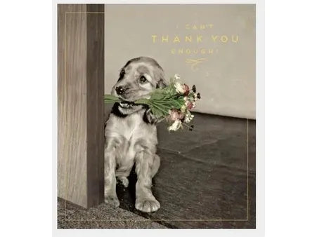 I can't Thank You enough greeting card image 0