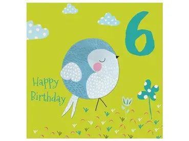 6th Birthday Birdie Card image 0